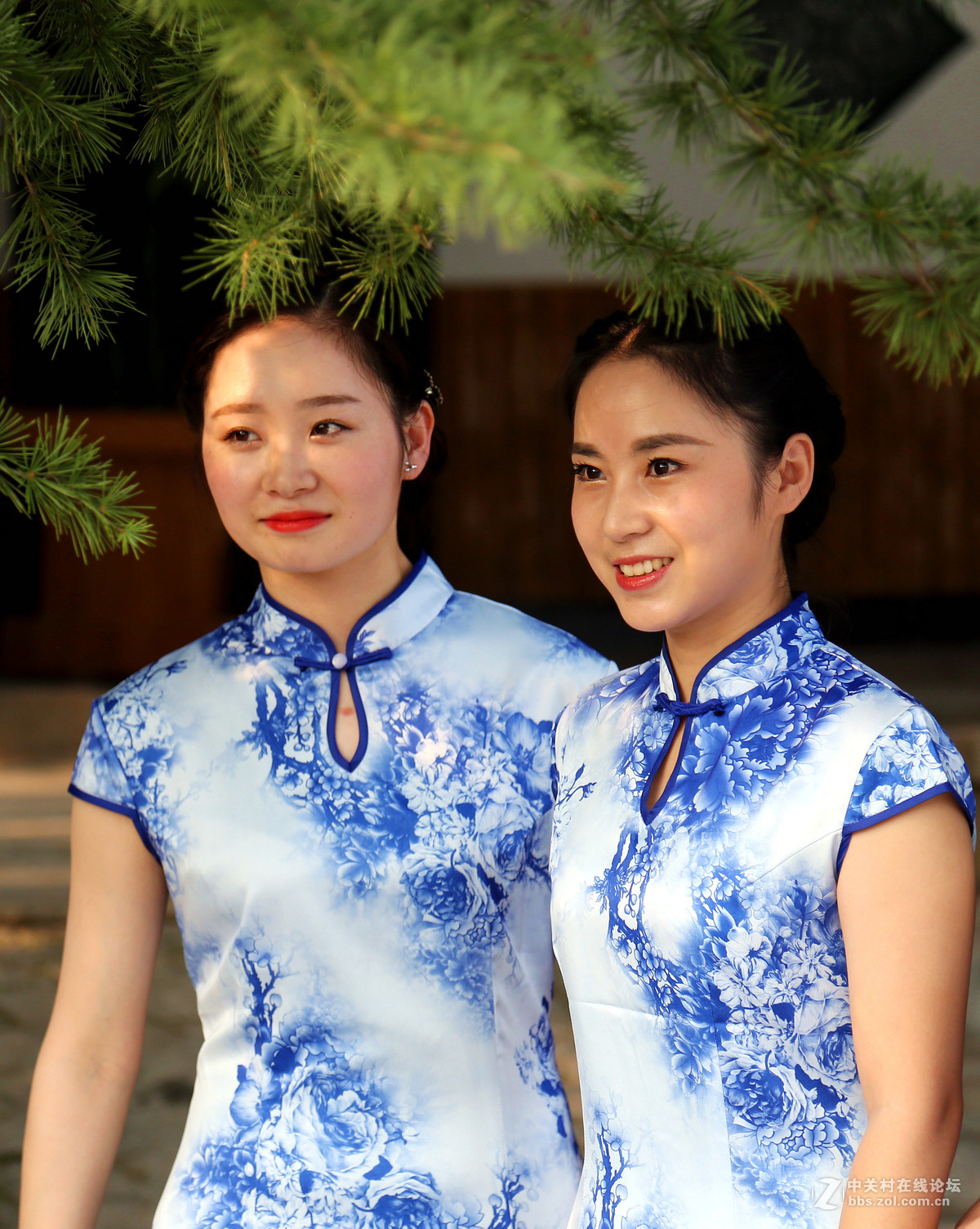 41䳵ı