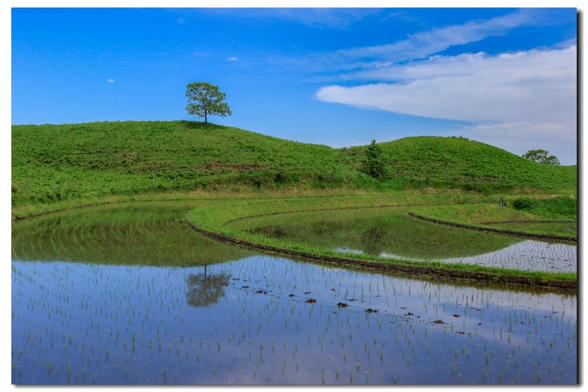 悠悠专程进山取材，祝贺师友端午节快乐！