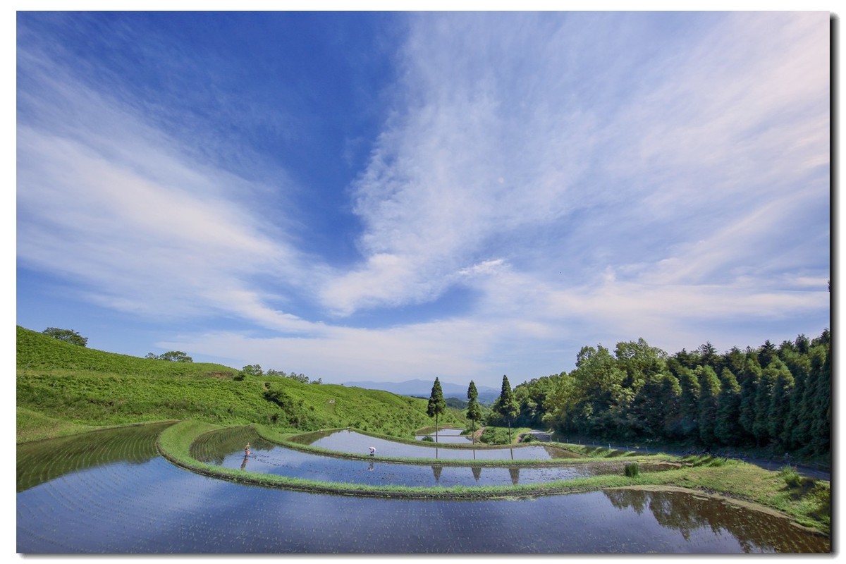 悠悠专程进山取材，祝贺师友端午节快乐！