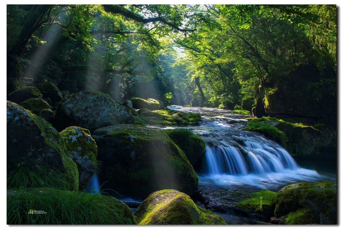 悠悠专程进山取材，祝贺师友端午节快乐！