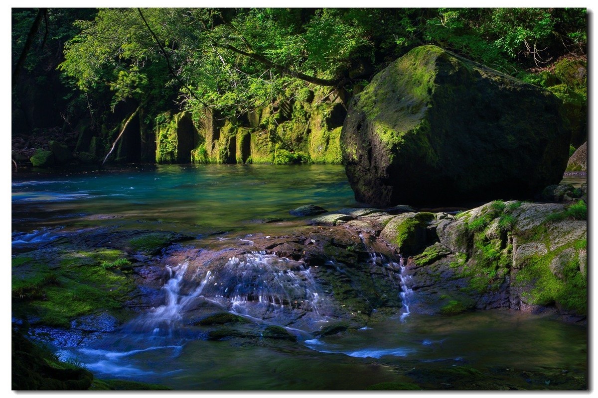悠悠专程进山取材，祝贺师友端午节快乐！