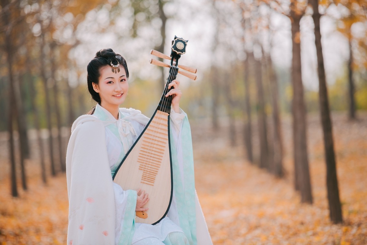 【老张光影】银杏与芦花