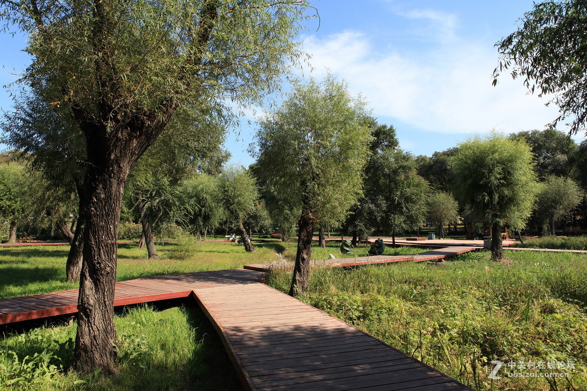 哈尔滨公园游拍——平房公园（一）