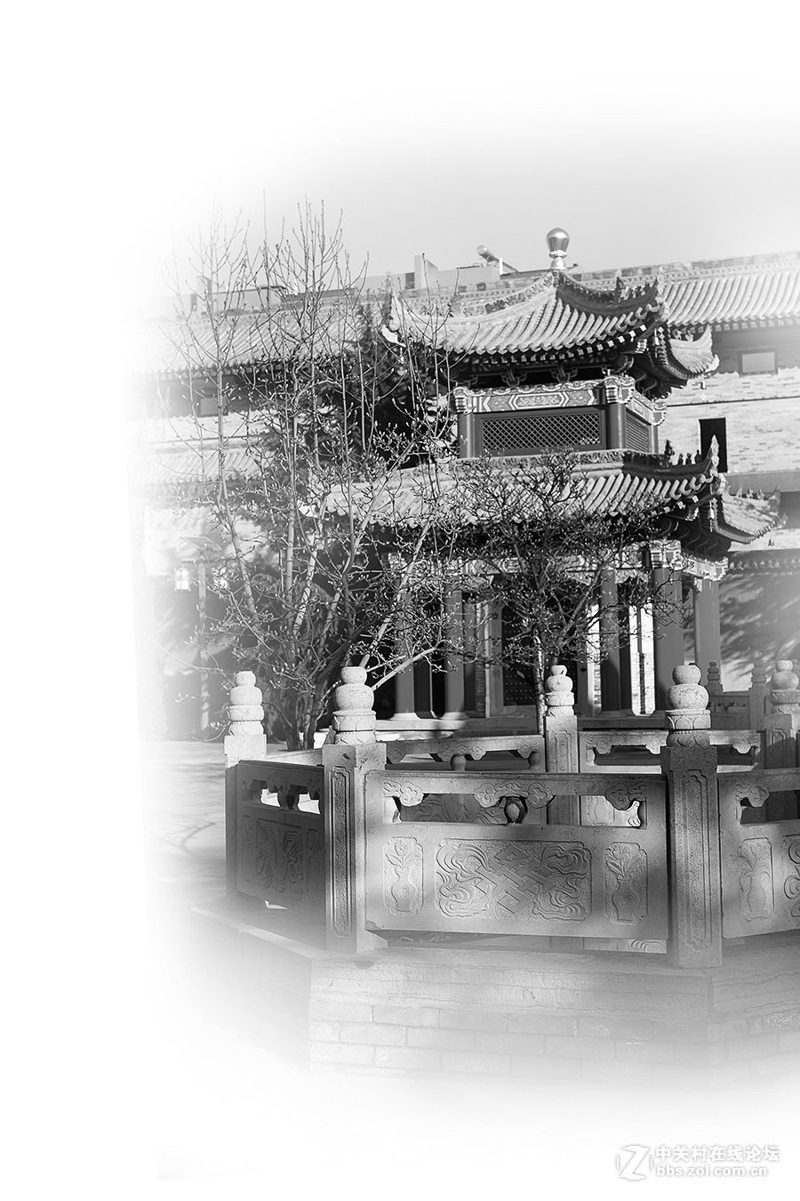 西安广仁寺冬日风光