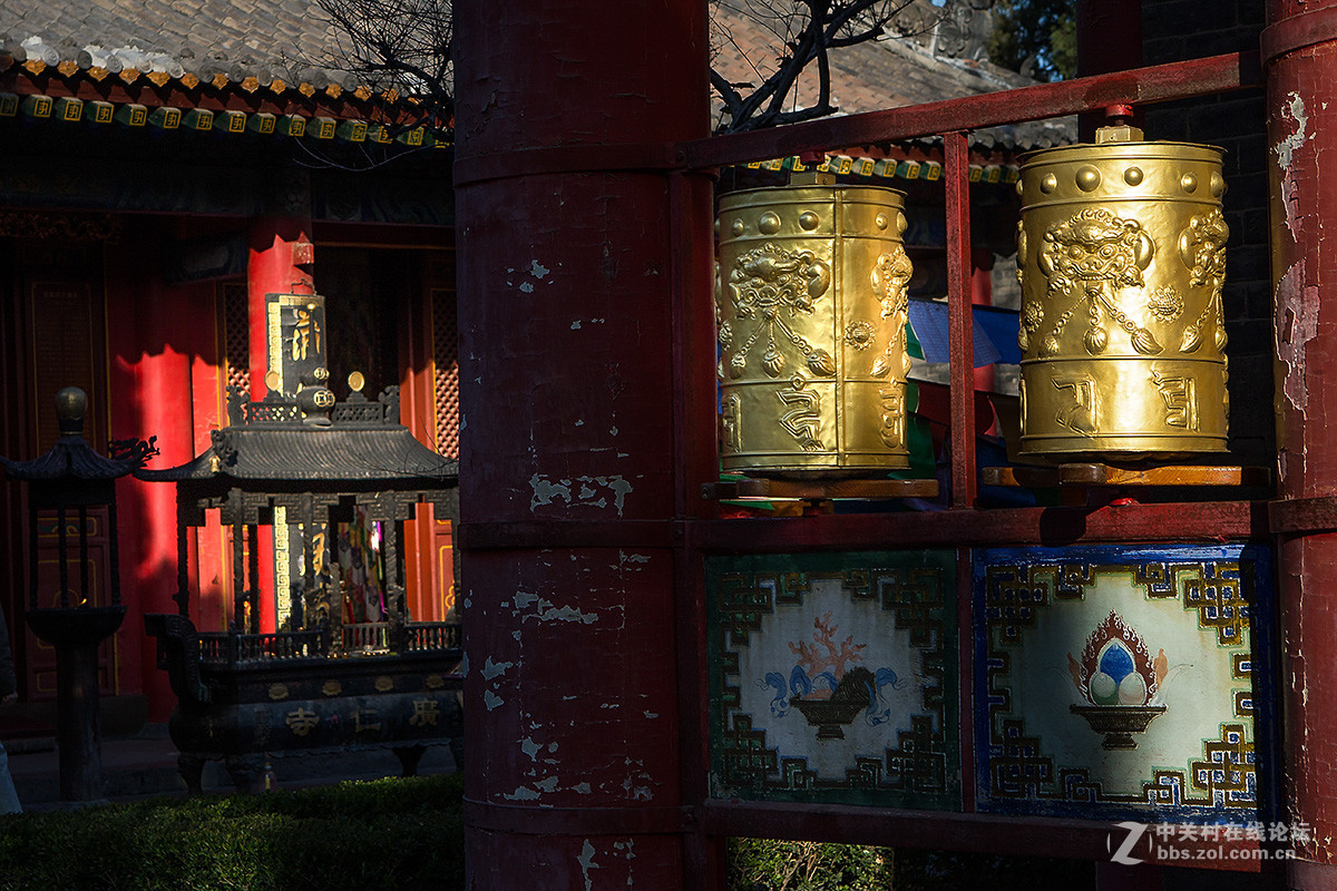 西安广仁寺冬日风光