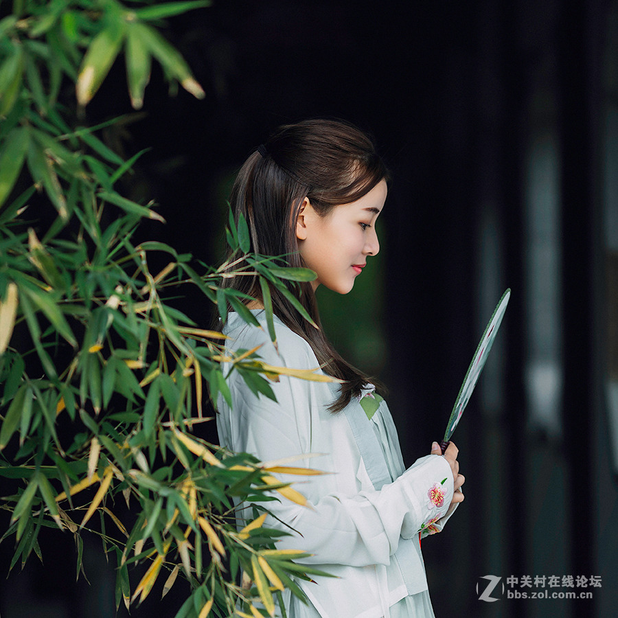 清风醉梦