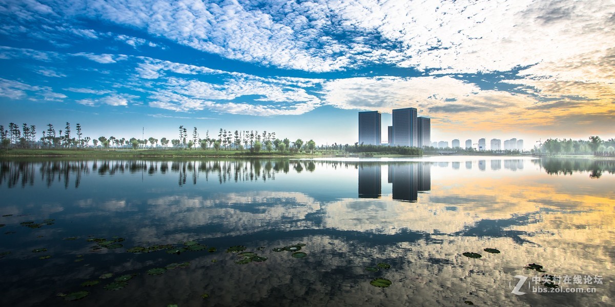 晨拍南湖湿地公园