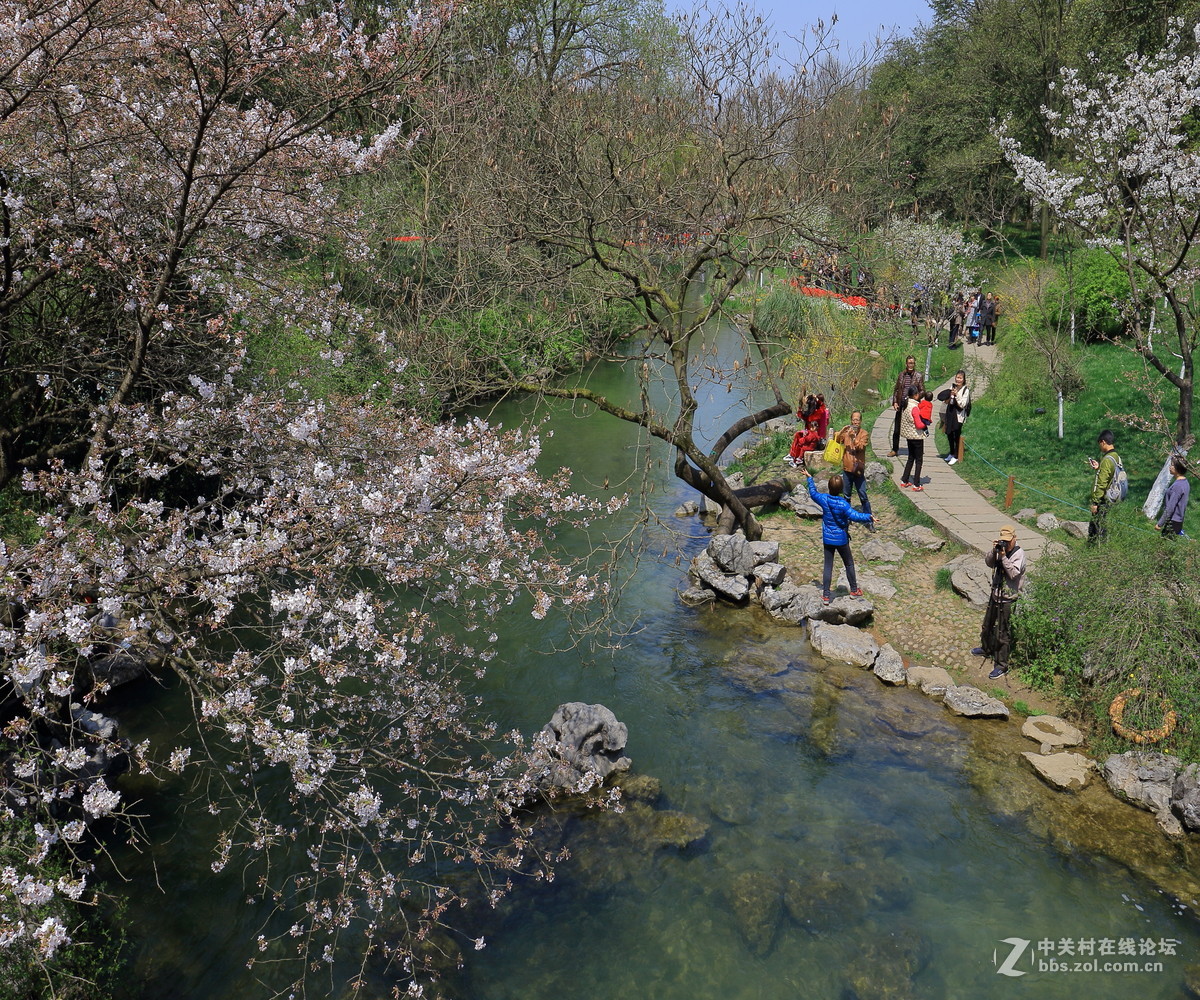 太子湾公园观景…续！