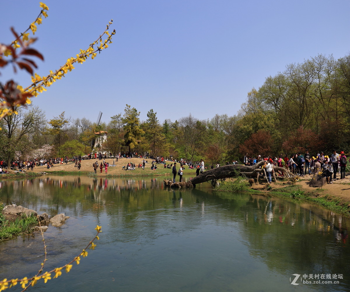 太子湾公园观景…续！