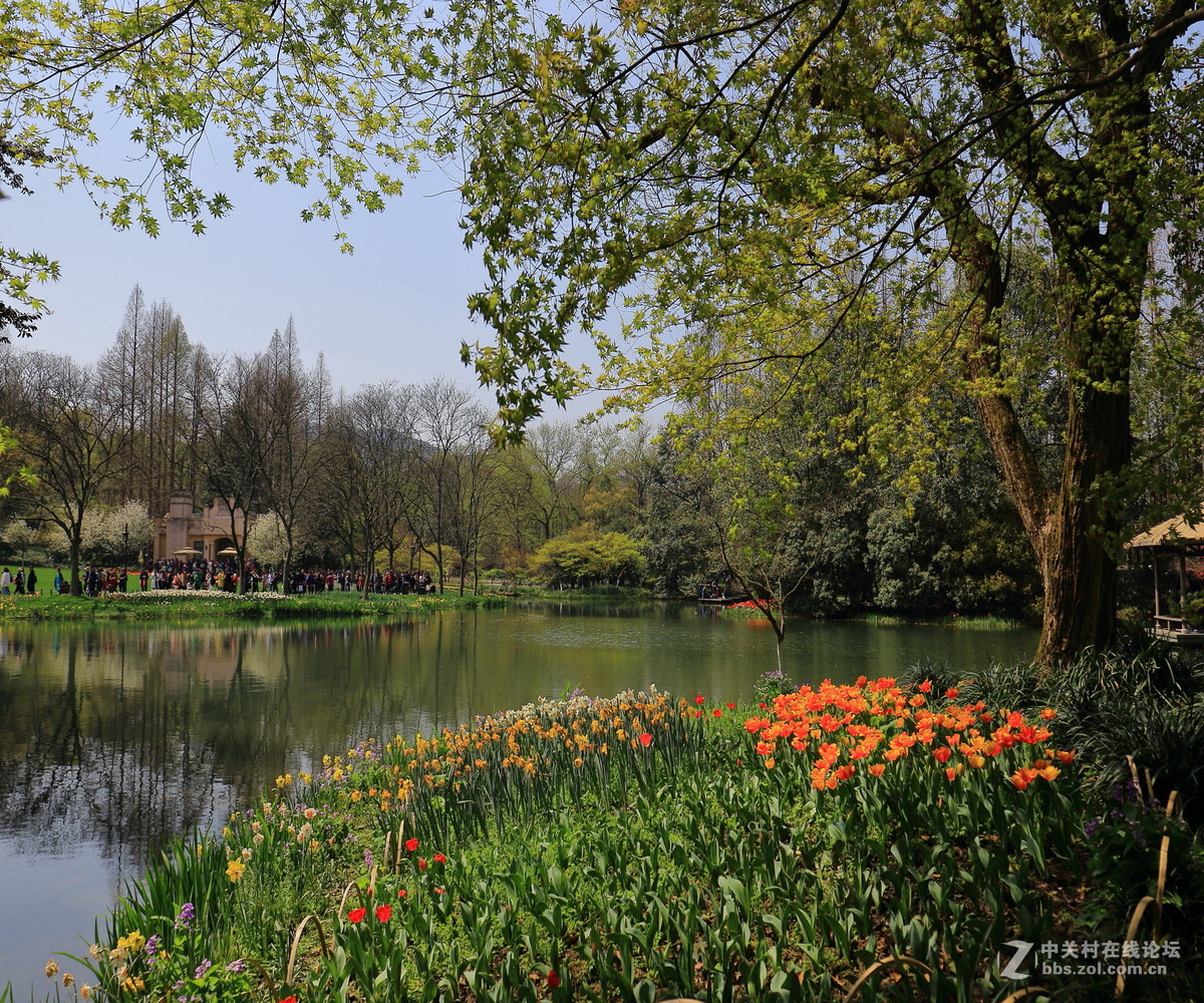 太子湾公园观景…续！