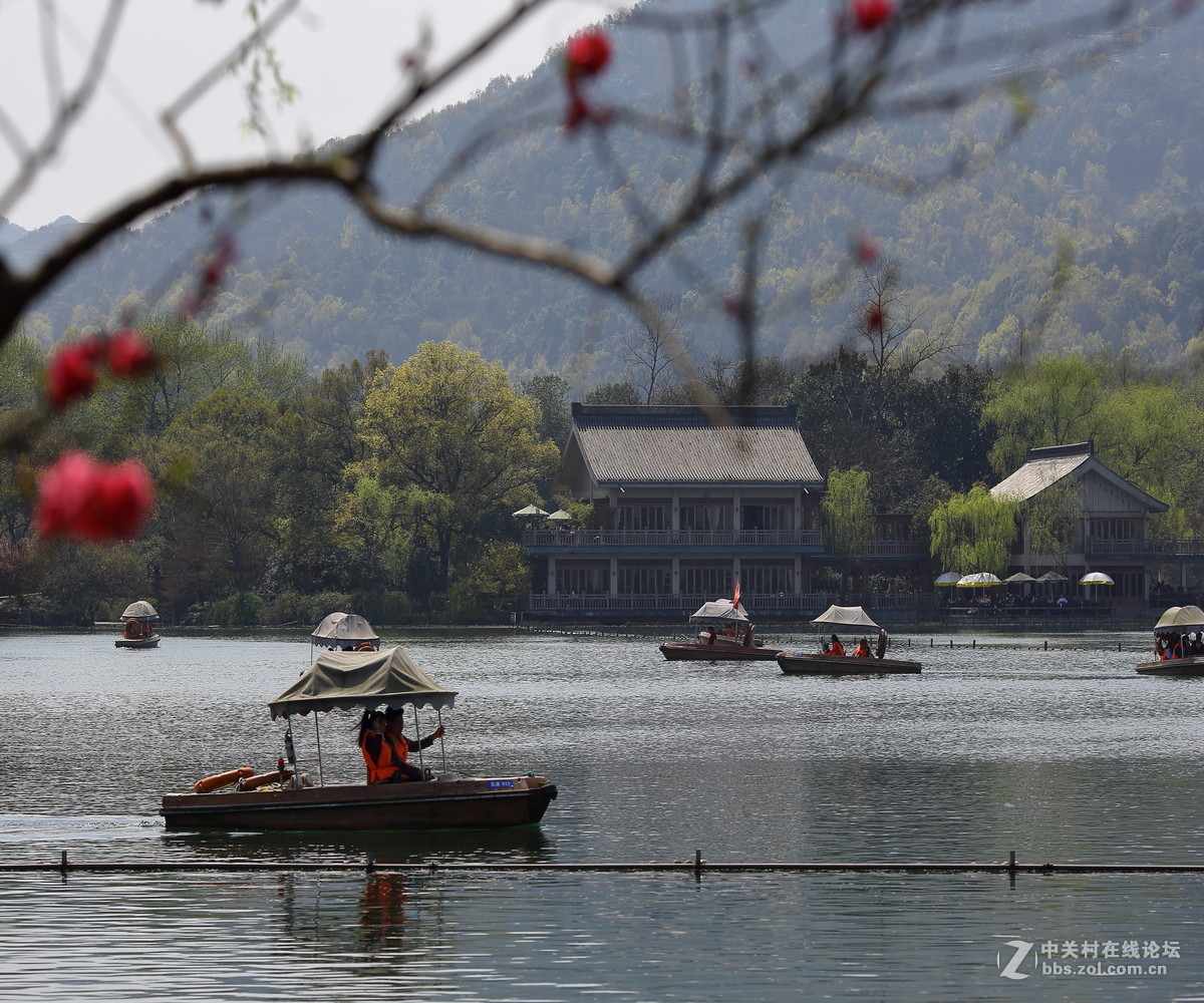 西湖春色