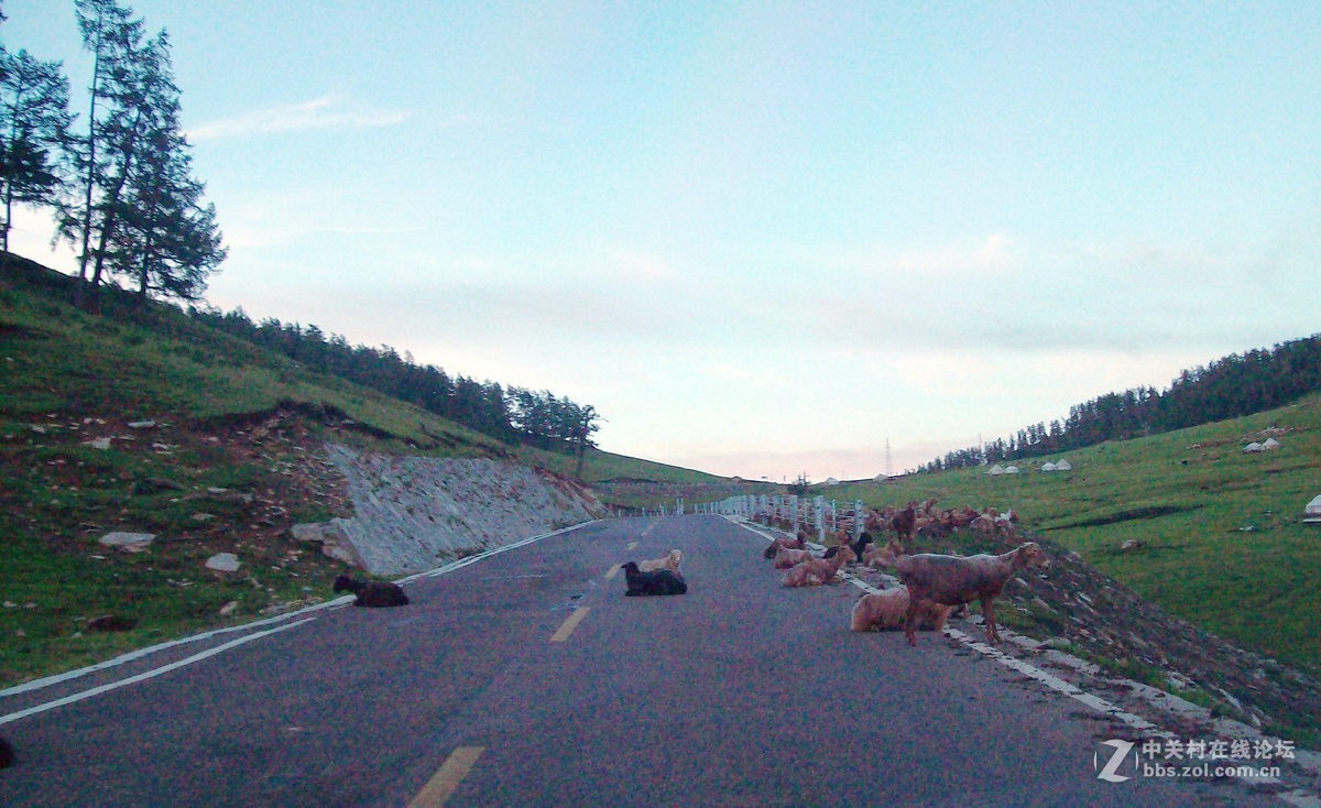 2017夏 长沙到喀什（77）喀纳斯的早晨