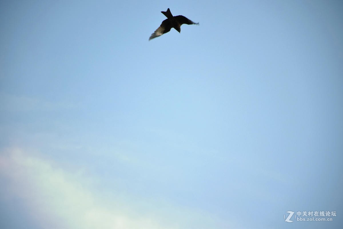 2017夏 长沙到喀什（77）喀纳斯的早晨