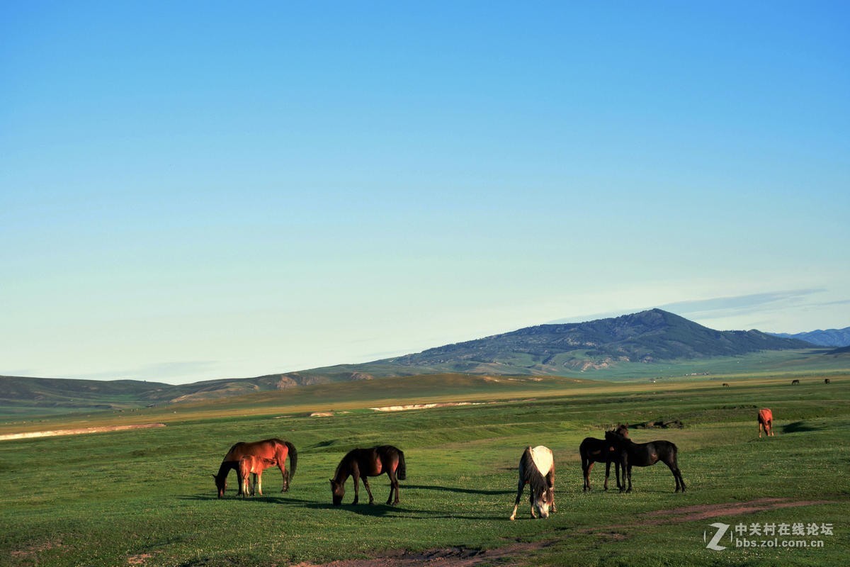 2017夏 长沙到喀什（77）喀纳斯的早晨