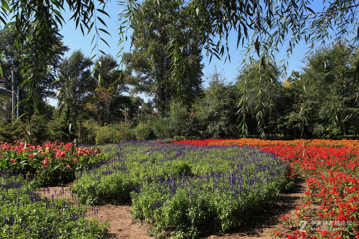 哈尔滨公园游拍——平房公园（一）