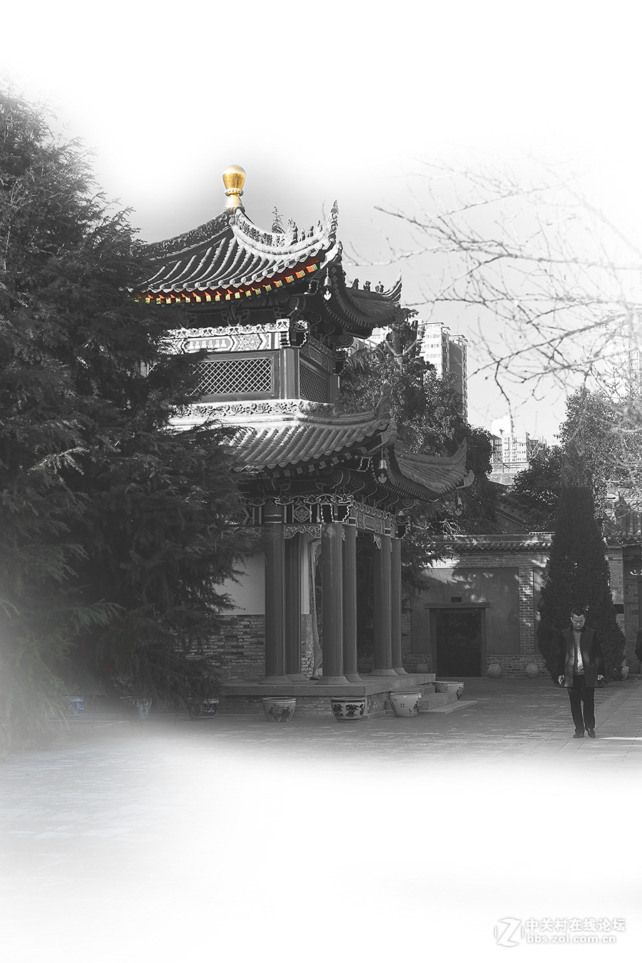 西安广仁寺冬日风光