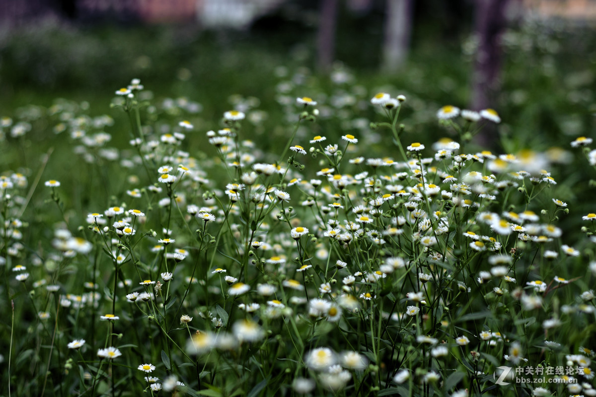 我也来这里看看热闹，互相学习