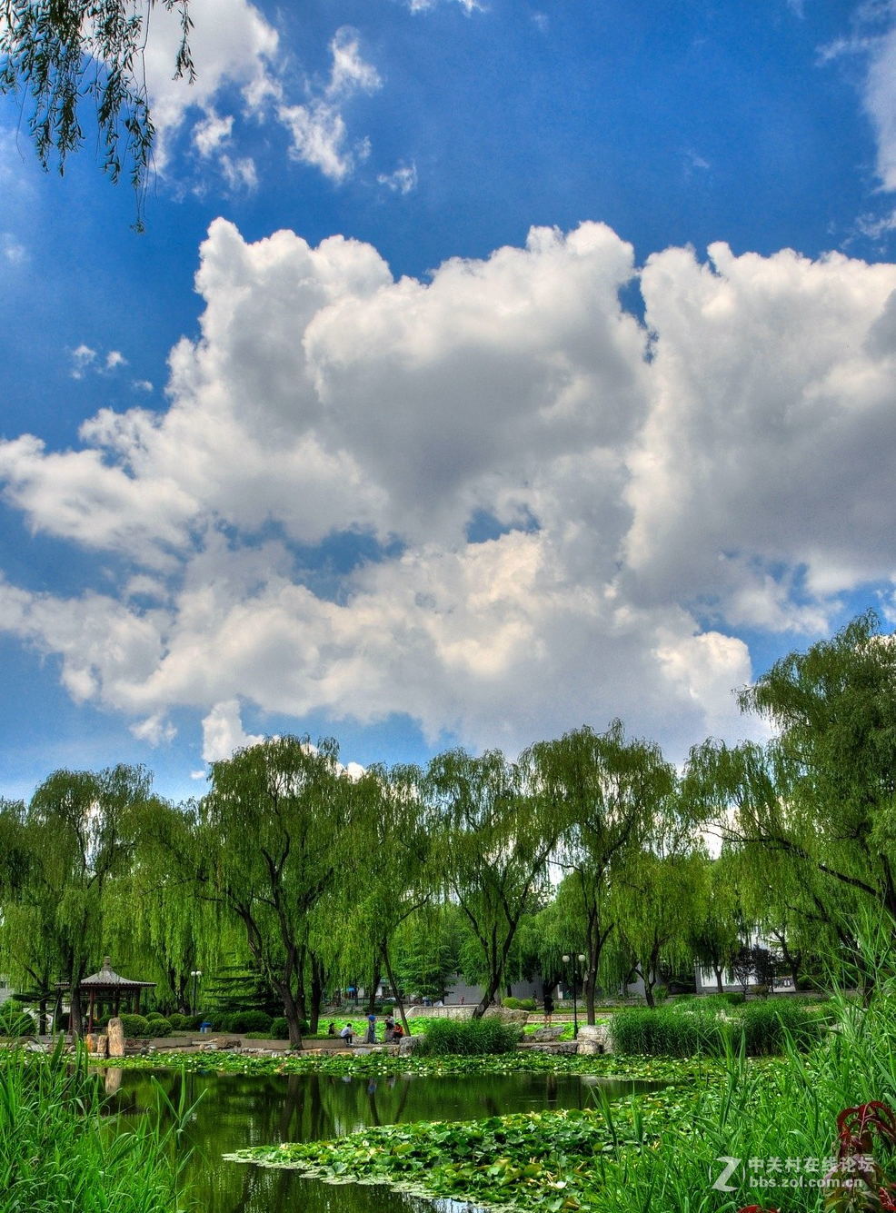 北京龙潭西湖公园