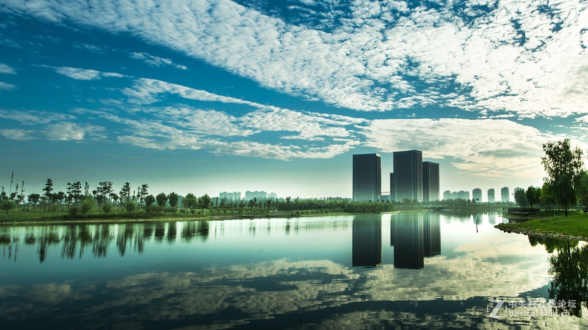 晨拍南湖湿地公园