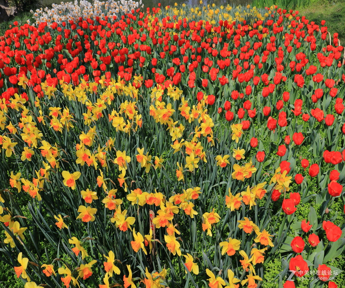 太子湾公园观景…续！