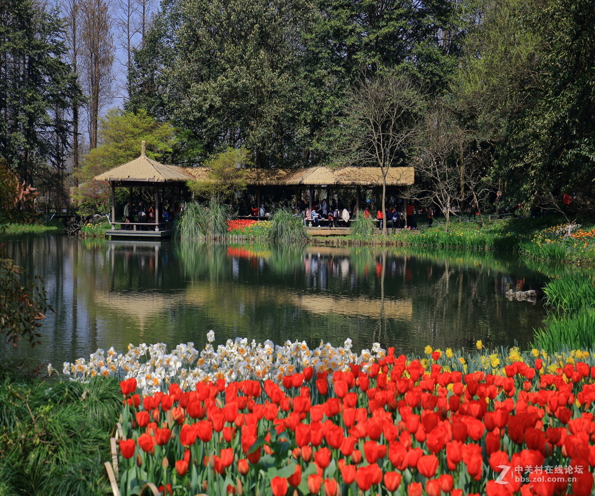 太子湾公园观景…续！