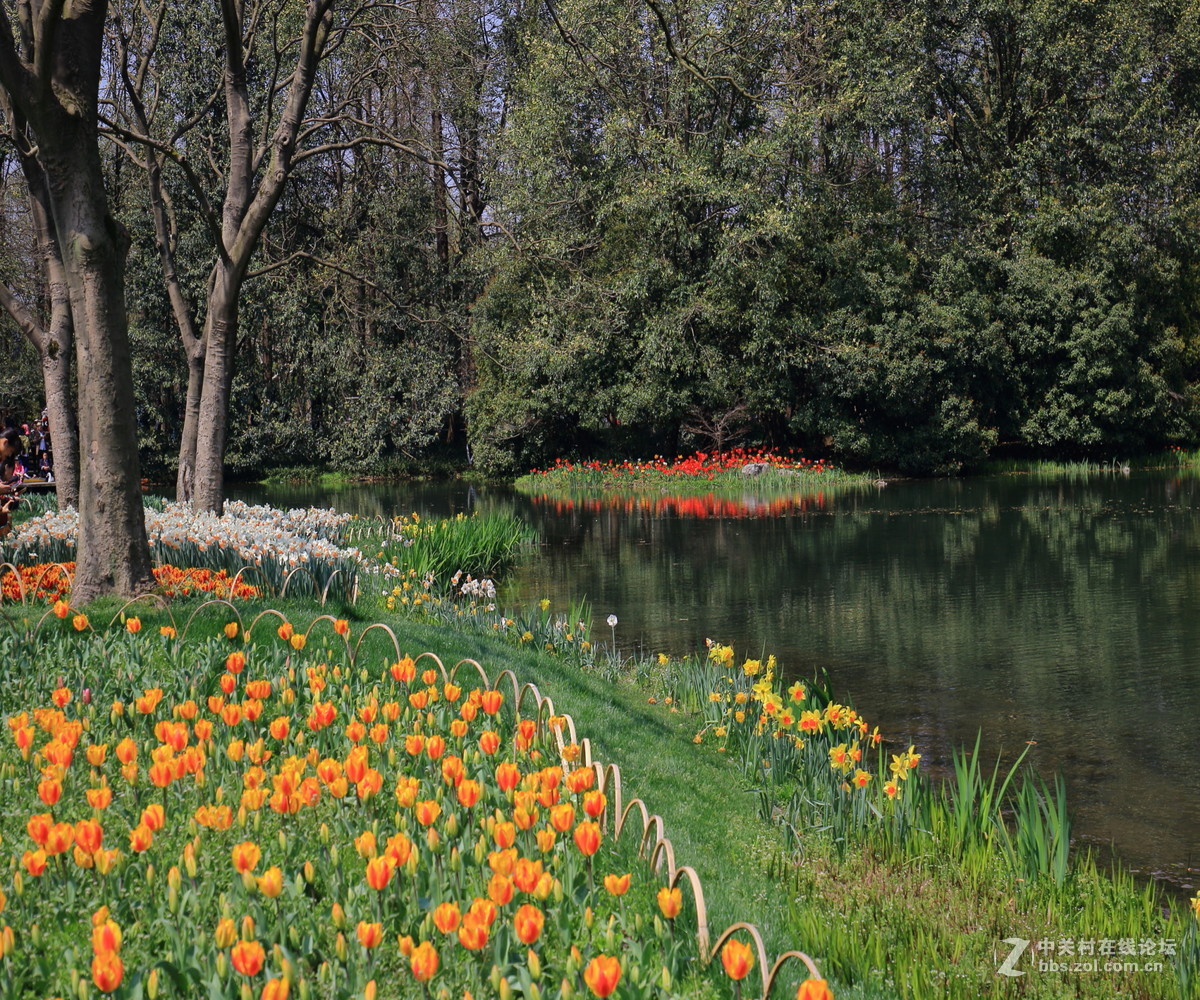 太子湾公园观景…续！