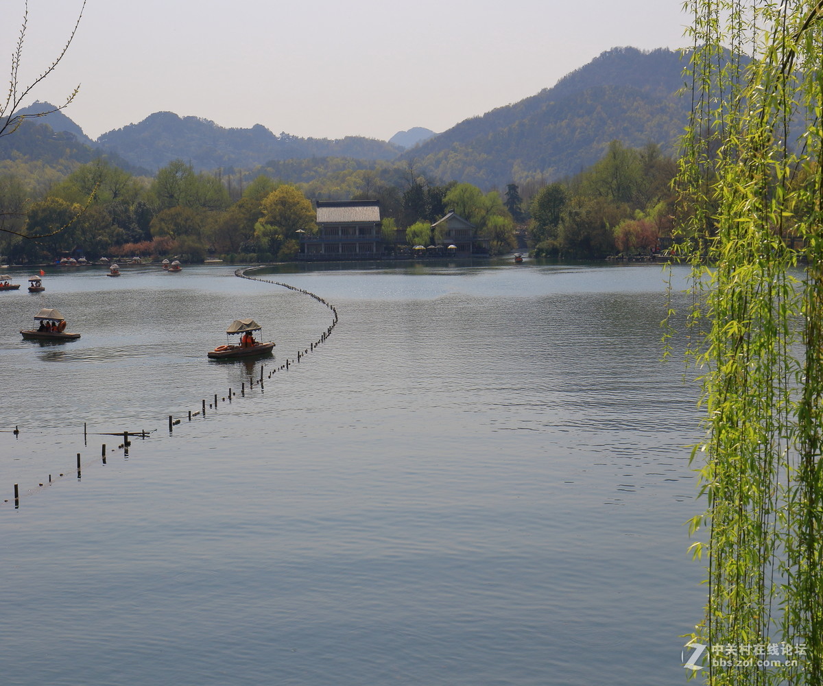 西湖春色