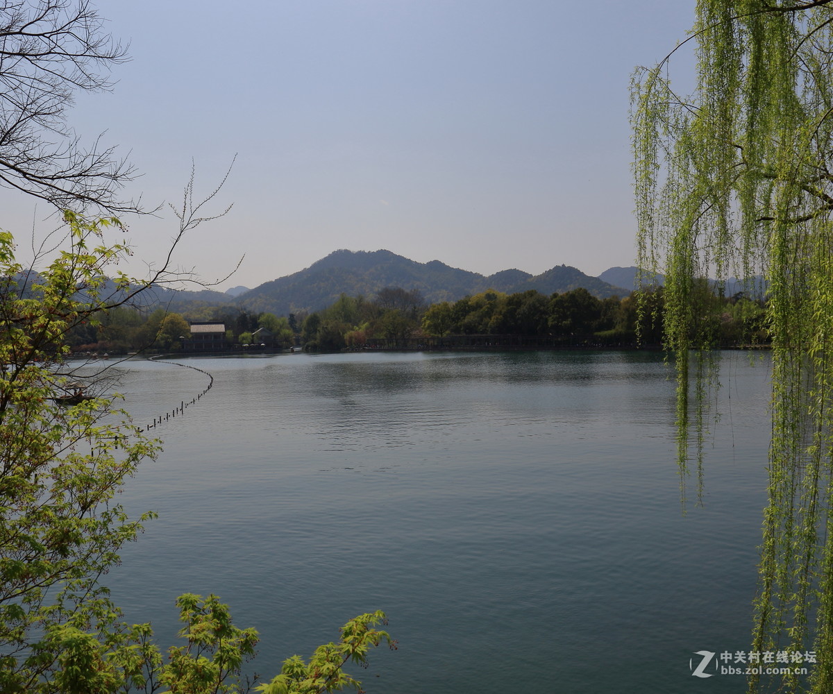 西湖春色