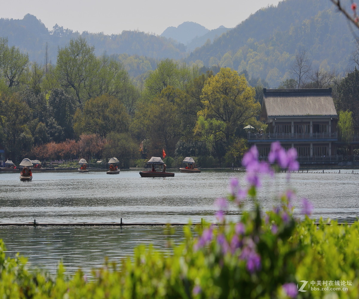 西湖春色