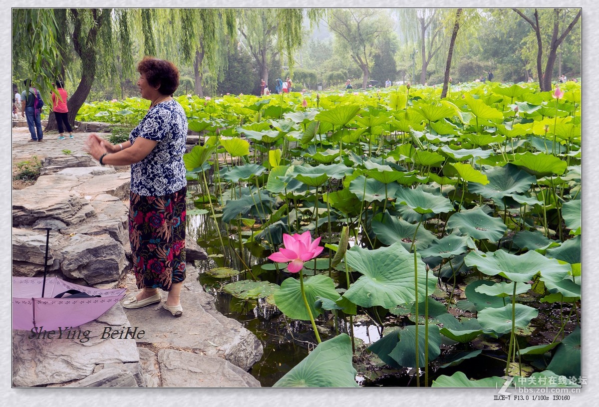 北京丰台榆园-续1