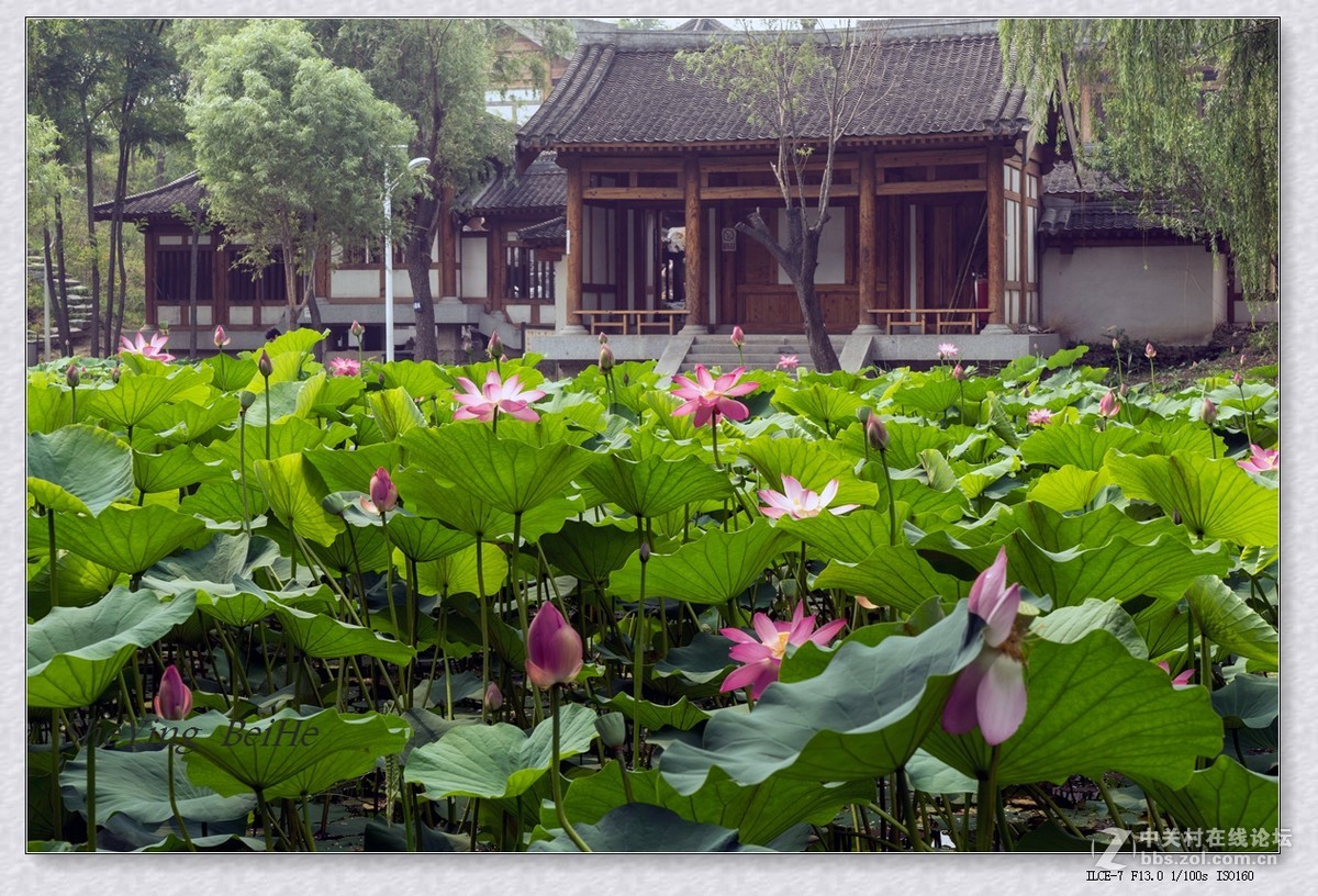 北京丰台榆园-续1