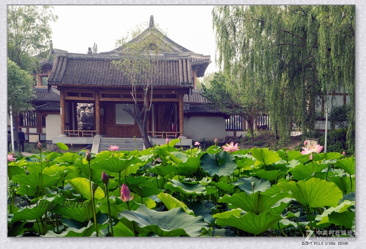 北京丰台榆园-续1