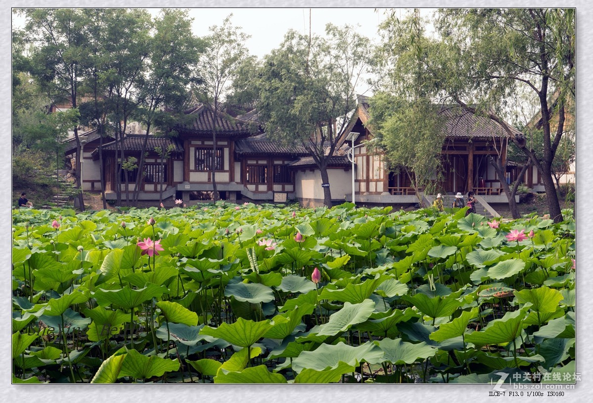 北京丰台榆园-续1