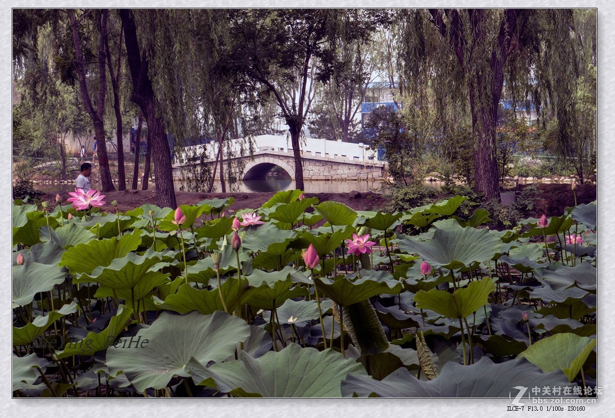 北京丰台榆园-续1