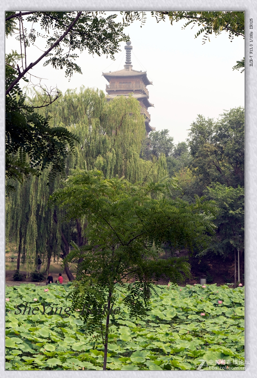 北京丰台榆园-续1