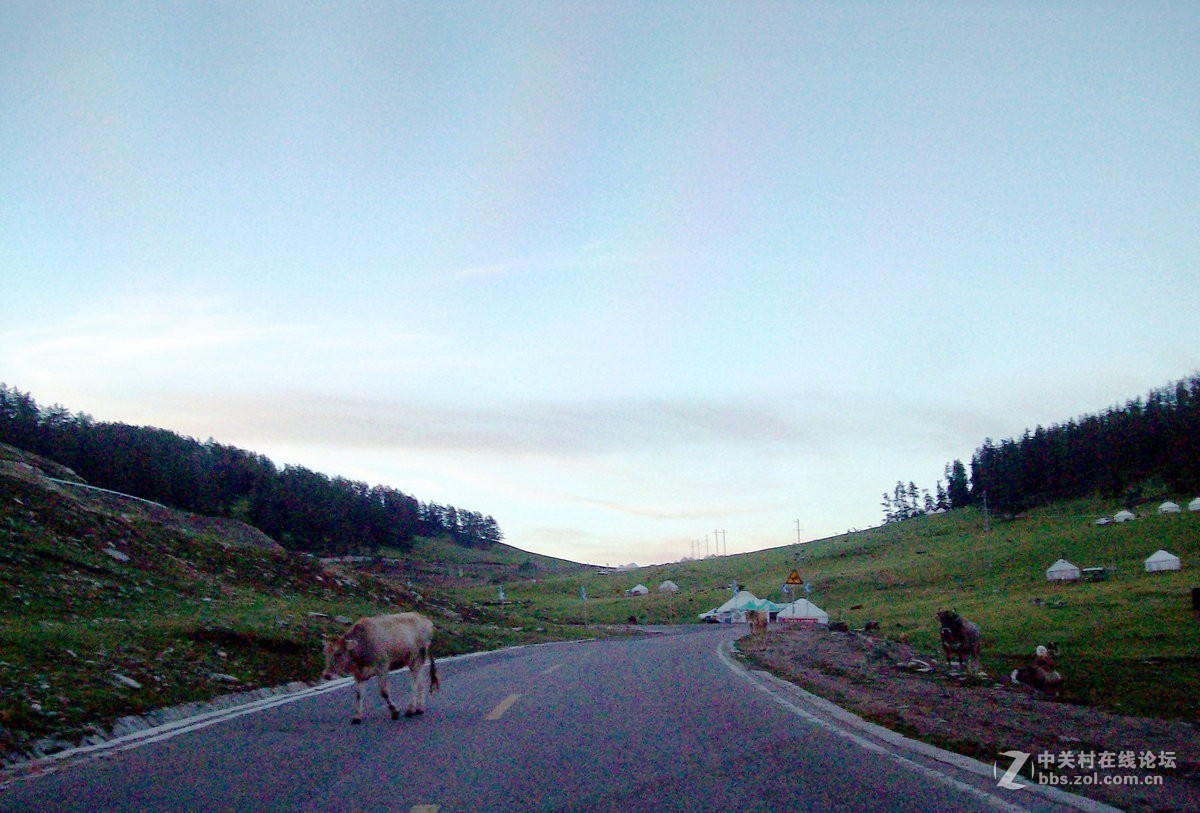 2017夏 长沙到喀什（77）喀纳斯的早晨