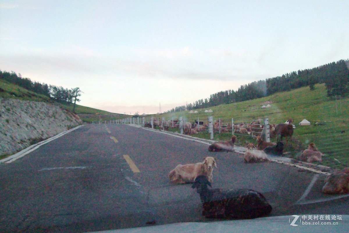 2017夏 长沙到喀什（77）喀纳斯的早晨