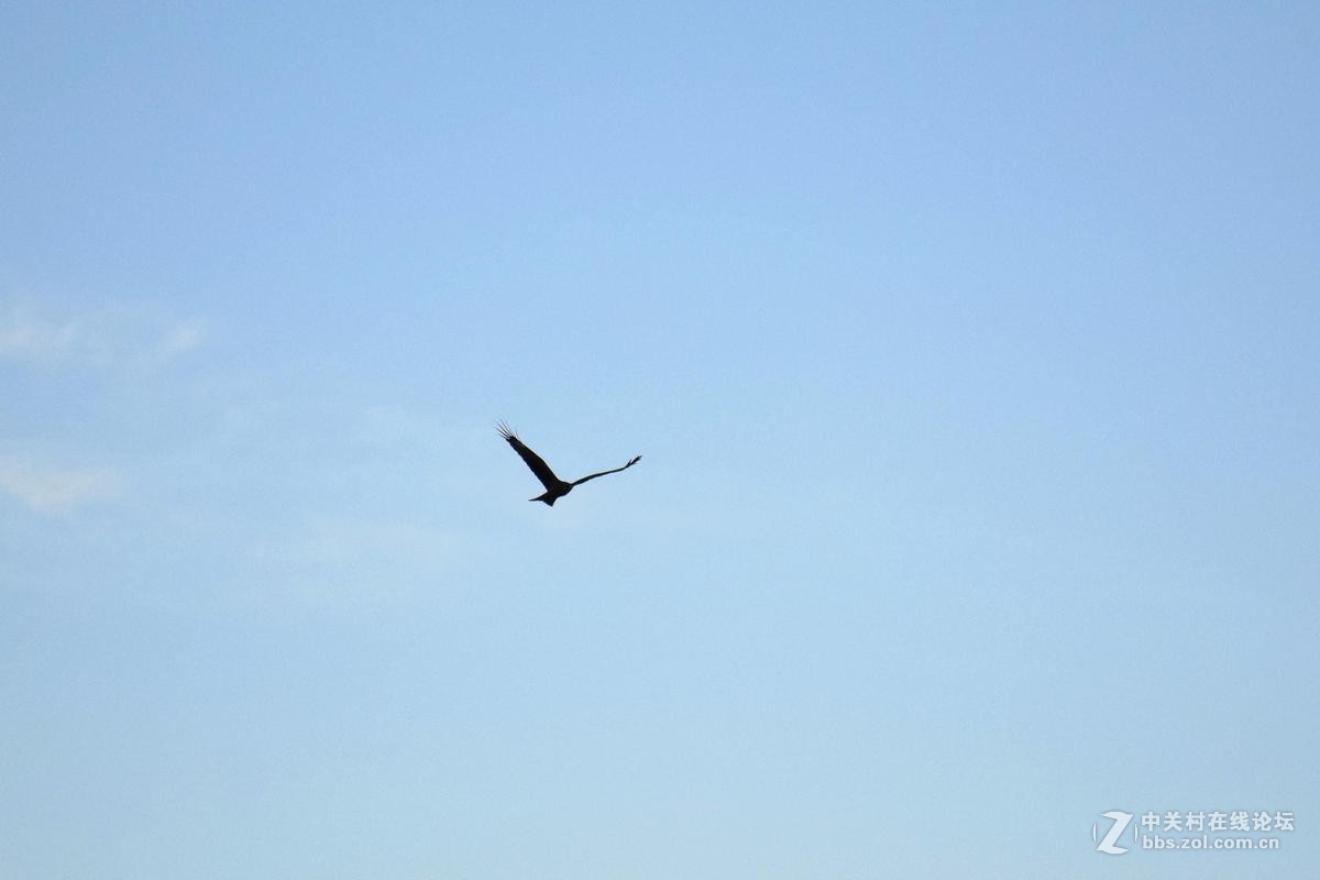 2017夏 长沙到喀什（77）喀纳斯的早晨