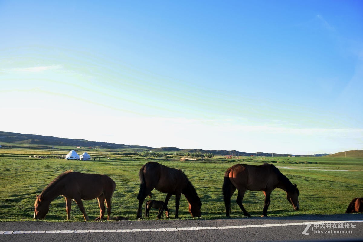 2017夏 长沙到喀什（77）喀纳斯的早晨