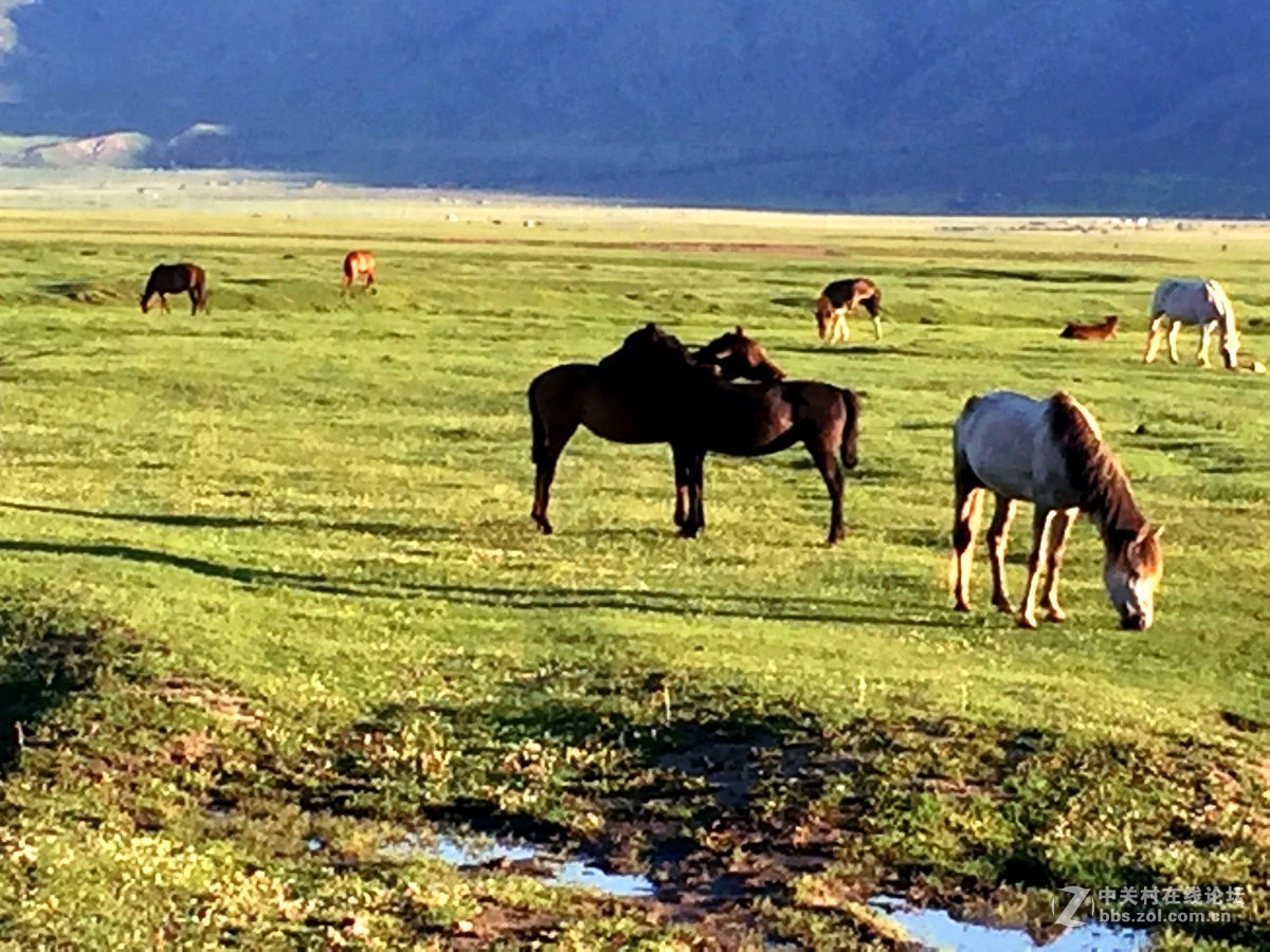 2017夏 长沙到喀什（77）喀纳斯的早晨