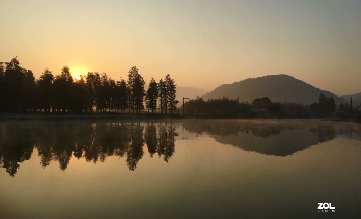 余姚四明湖-水杉