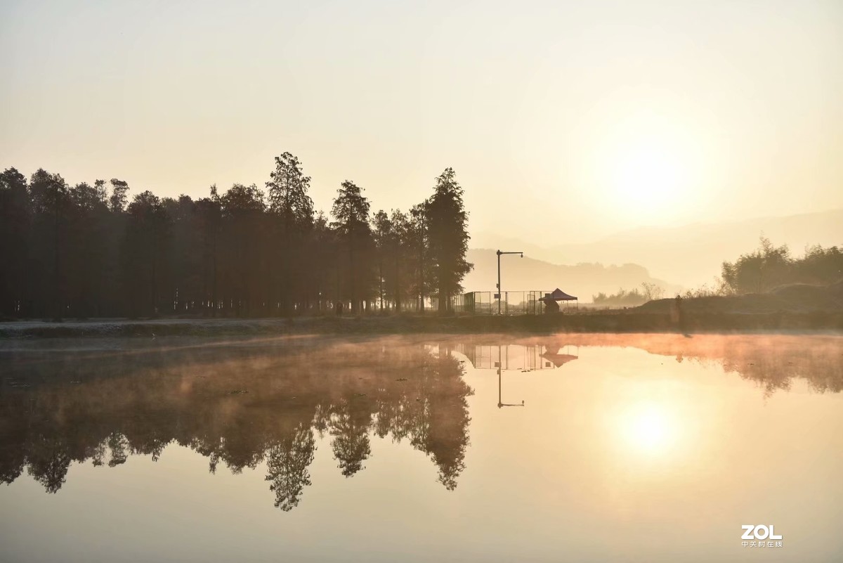 余姚四明湖-水杉