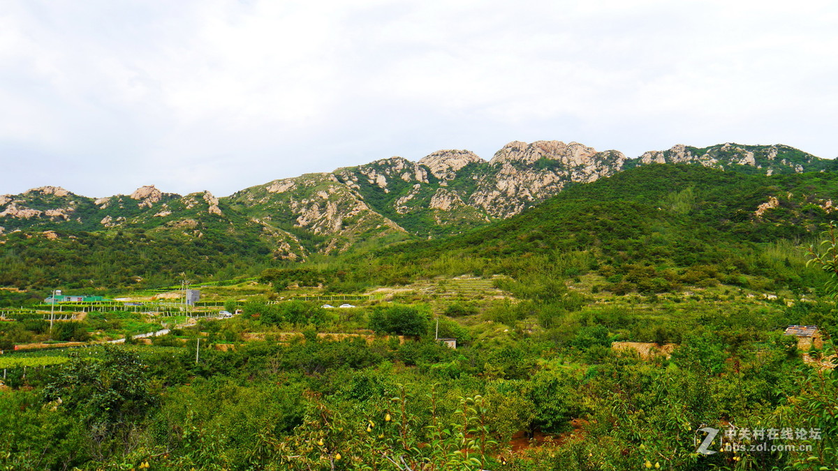 平度大泽山水库图片