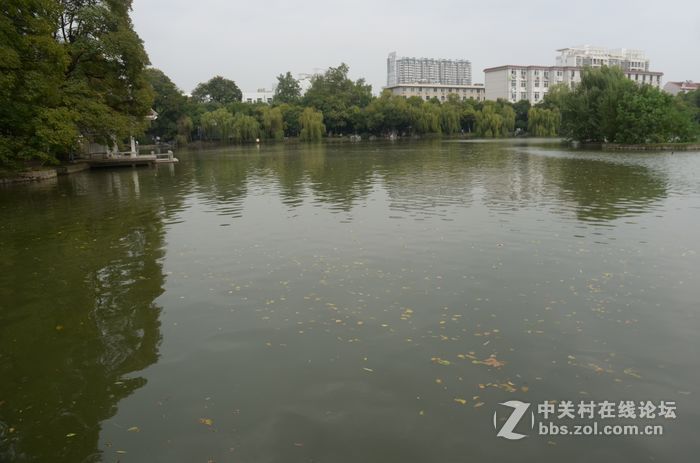 国庆哪也没去，在家门口转转拍几片
