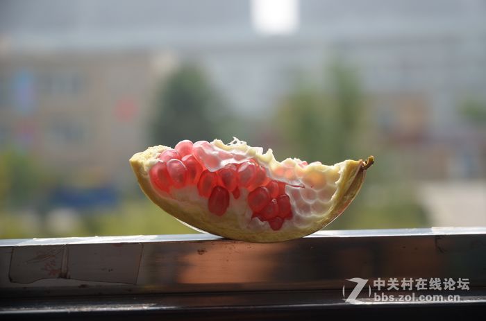 国庆哪也没去，在家门口转转拍几片