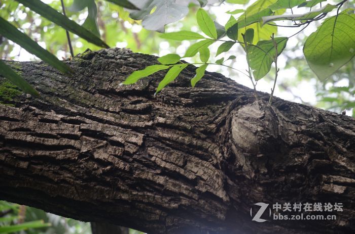 国庆哪也没去，在家门口转转拍几片