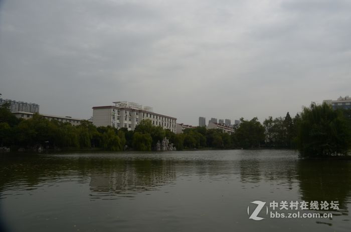 国庆哪也没去，在家门口转转拍几片