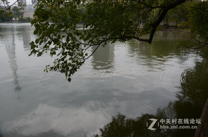 国庆哪也没去，在家门口转转拍几片