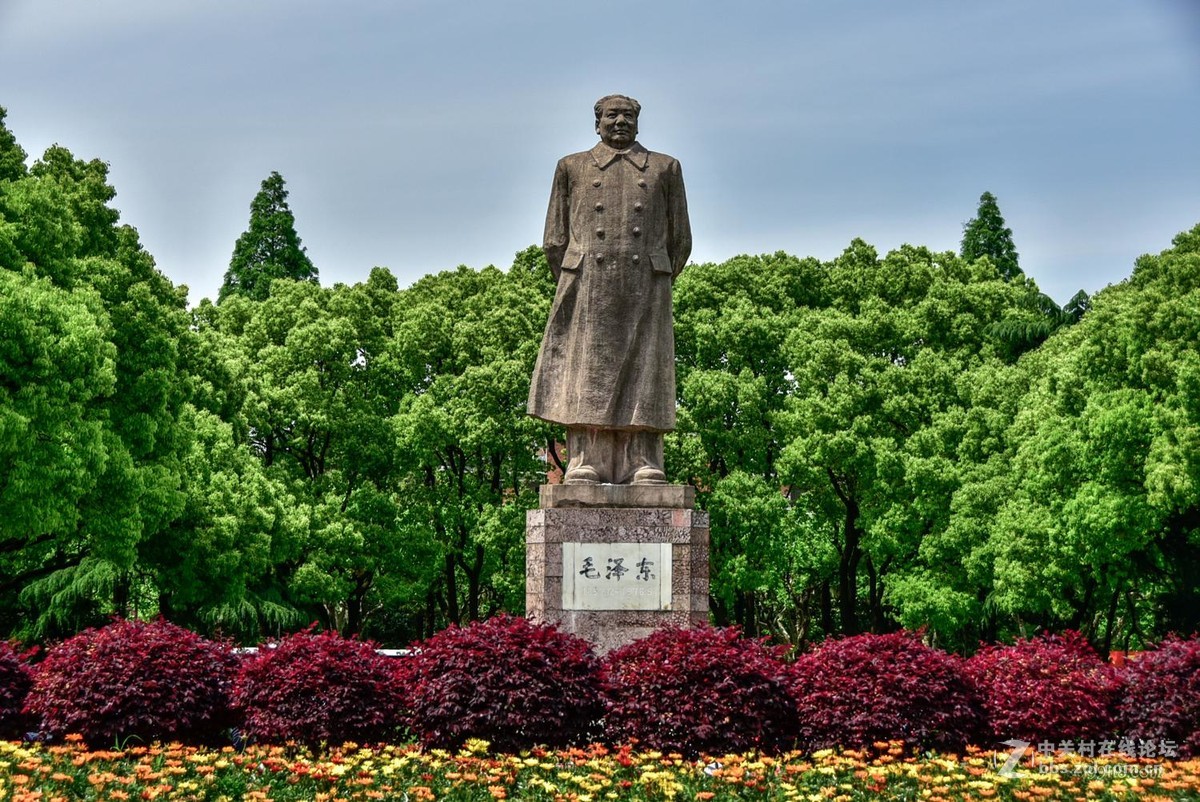 上海:------复旦大学-中关村在线摄影论坛