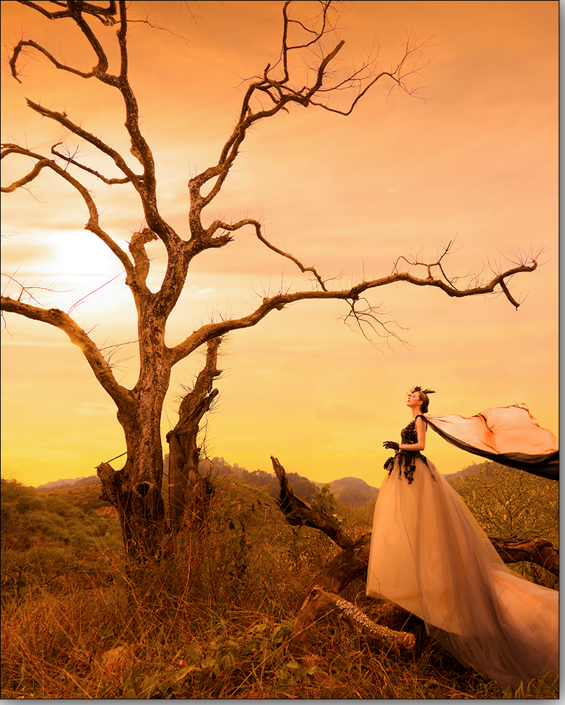 【强人视觉】-- 荒野&唯美